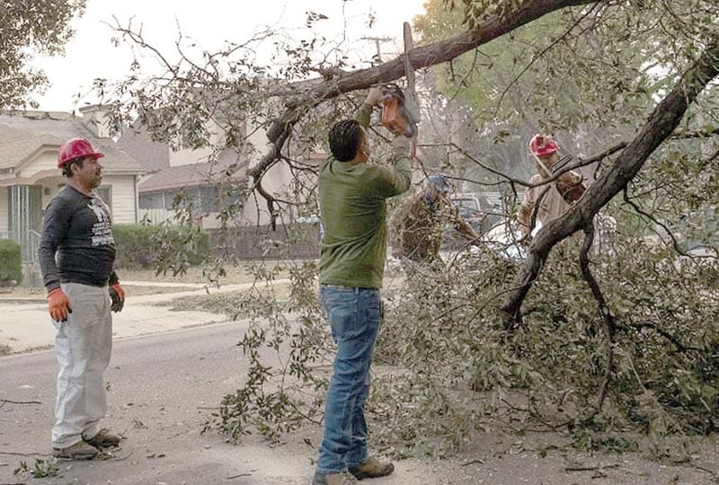 ¡MIGRANTES SE UNEN PARA RETIRAR LOS ESCOMBROS QUE PUDIERAN AVIVAR LOS INCENDIOS! - EN RESPUESTA A TRUMP