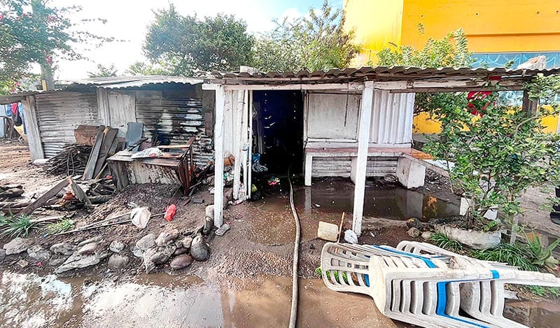 ¡RESCATAN A TRES CACHORROS Y UN POLLO ATRAPADOS EN INCENDIO!