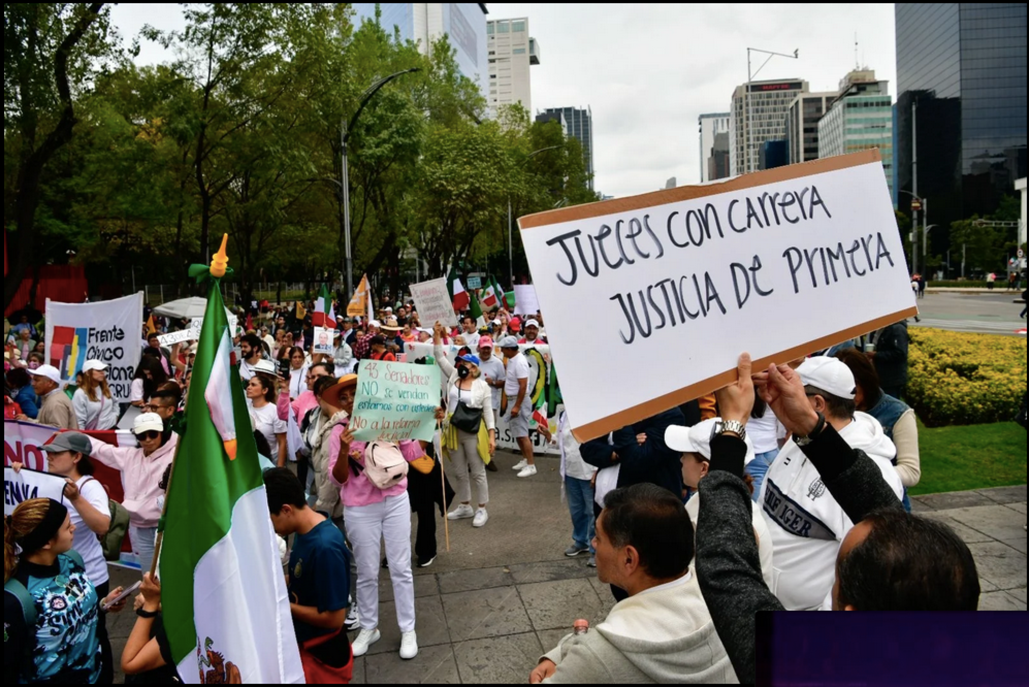 ¡PÁGINAS FALSAS PARA DIFUNDIR LA REFORMA JUDICIAL!