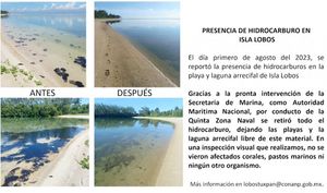 MAREA NEGRA EN SISTEMA ARRECIFAL LOBOS-TUXPAN