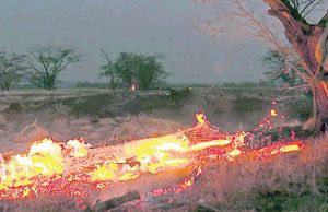 ¡Incendios en Hawái matan ahora a dos mexicanos!