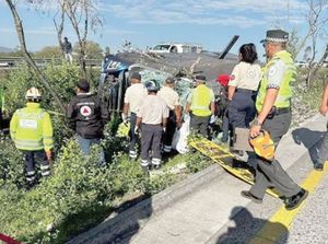 ¡Tragedia en la carretera!