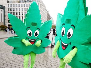 ¡Gobierno de Alemania planea legalizar la mariguana!