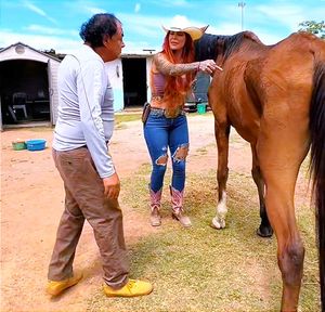 ¡ENCUENTRAN CLUB ECUESTRE EN XALAPA LLENO DE CABALLOS MALTRATADOS Y DESNUTRIDOS!