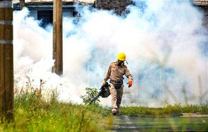 ¡SE DISPARA EL DENGUE! -Veracruz segundo lugar