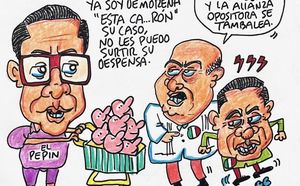 LOS CARTONES