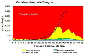 HAY UN PICO... ¡NO PARA EL DENGUE! -Casi ocho mil casos de dengue