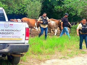 ¡CON METRALLETA Y TODO! -OPERATIVO CONTRA EL ABIGEATO EN LA ZONA NORTE -Revisan vehículos y verificaron la propiedad de animales