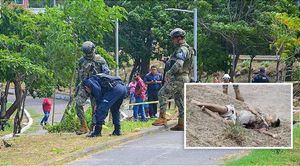 ¡LO LLENAN DE PLOMO! ...A la Orilla de la Laguna de Lagartos