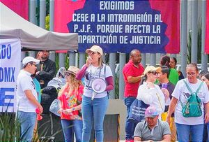 ¡MAGISTRADOS Y JUECES PROMOVERÁN AMPARO EN DEMANDA ÚNICA! -Tras la eliminación de fideicomisos