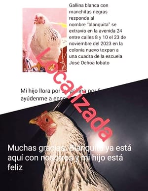 EN CUESTIÓN DE HORAS... ¡Y LA GALLINA APARECIÓ! -Sí Habrá Cena de Navidad