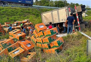 ¡SE VOLTEA TRÁILER CON PAPAYAS! -Antes de Llegar a la Caseta de La Antigua