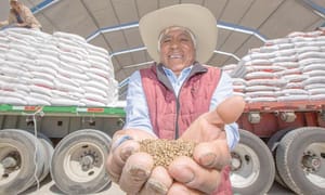 ¡DESTINARÁN MÁS DE MIL MILLONES PARA EL CAMPO!