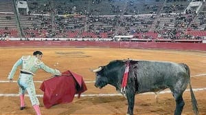 CON FALLO DE LA SCJN ¡CORRIDAS DE TOROS VOLVERÁN A CDMX! -*REVOCARÁ POR UNANIMIDAD EN SU SESIÓN PÚBLICA LA SUSPENSIÓN DEFINITIVA