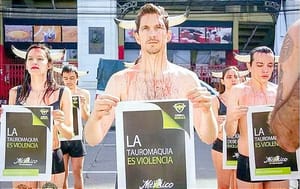 ¡“NO SALES SIENDO MEJOR PERSONA”! ...PROTESTAN CONTRA LAS CORRIDAS DE TOROS