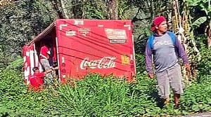 ¡SE QUEDA SIN FRENOS Y SALE VOLANDO CAMIÓN DE LAS COCAS! -EN LA CARRETERA FORTIN-ORIZABA