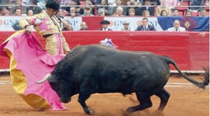 ¡VUELVEN LAS CORRIDAS DE TOROS EN LA CDMX!