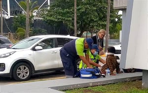 ¡NIÑO CHIAPANECO ATROPELLADO EN COSTA DE ORO!