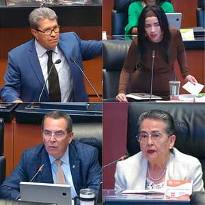 ¡SE RECALIENTAN LOS SENADORES! - CASO NAHLE *La Ex Morenista Claudia Balderas Acusa a la ex Secretaria de Energía