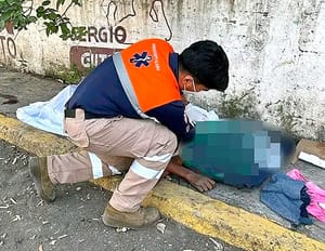 ¡IBA BUSCANDO LA SOMBRA DE UN ÁRBOL! - *OTRA VÍCTIMA DEL GOLPE DE CALOR