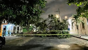 ¡SE LES VINO ENCIMA LA “RAMONA”! - Avenida Netzahualcóyotl