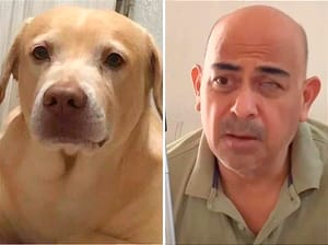 ¡DESAPARECIÓ “DUCKY” PERRO GUÍA! - *Se Extravió en Laguna Real