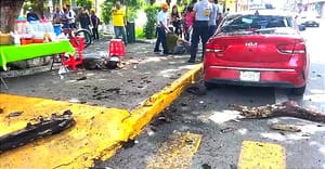 ¡CAE RAMA DE ÁRBOL Y HIERE A DOS PERSONAS! - COMÍAN TACOS EN EL PARQUE A LA MADRE