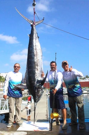 ¡ALISTAN TORNEO INTERNACIONAL DEL MARLIN! - Club de Yates de Veracruz