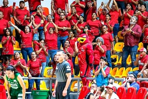 ¡REPROBADOS! - *Aficionados en desacuerdo con los directivos de Halcones Rojos