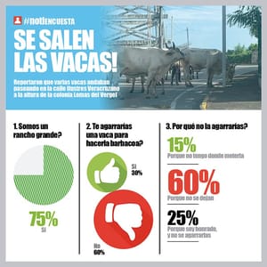 LA ENCUESTA | - SE SALEN LAS VACAS!