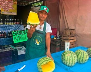 ¡VENDEN SANDÍA AMARILLA! - *Y NO ES DEL JAPÓN