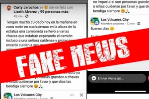 ¡COFEPRIS Y “FAKE NEWS” SELLARON TEMPORADA DE VERANO MAS BAJA!