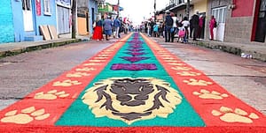 ¡TAPETE DE ASERRÍN A SAN JERÓNIMO!