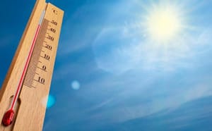 ¡79 MUERTES POR GOLPES DE CALOR!