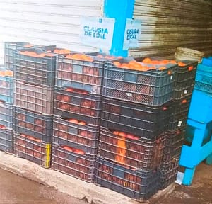 ¡TOMATERO DESTAPA CORRUPCIÓN EN EL MERCADO MALIBRÁN! - POR NO DAR MORDIDA, LE CIERRAN 3 LOCALES