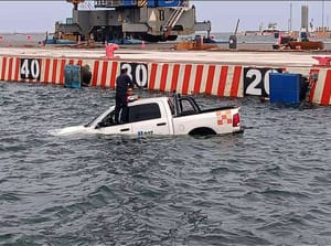 ¡CHAPUZÓN EN EL PUERTO!