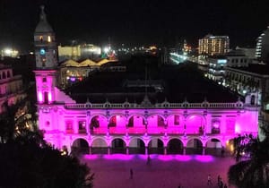 ¡PINTA PATY EL PALACIO DE ROSADO!