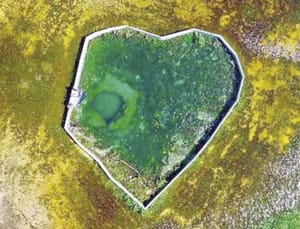 ¡ALERTAN POR CASOS DE CÁNCER DEBIDO A CONTAMINACIÓN DEL AGUA EN YUCATÁN!