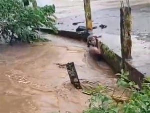 ¡SE LO LLEVÓ EL AGUA!