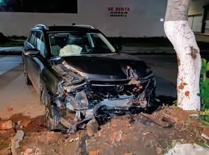 ¡CAMIONETÓN SE ESTRELLA CONTRA JARDINERA Y DERRIBA UN ÁRBOL!