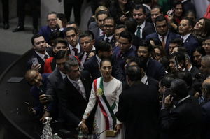 ¡DESDE EL PRIMER DÍA COMIENZA LA PRESIÓN A LA PRESIDENTA EN EL CONGRESO DE LOS EU!