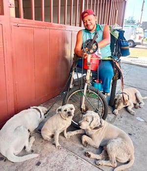 ¡EL AMBULANTE! - *"Una fue en las vías del tren, la otra una araña Capulina"