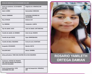 ¡DESAPARECIÓ JOVENCITA DE 14 AÑOS EN EL PUERTO DE VERACRUZ!