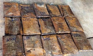 ¡ASEGURAN 722 KILOS DE MARIHUANA EN LA ADUANA DE VERACRUZ!