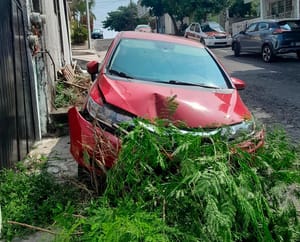 ¡SE QUEDA SIN FRENOS Y CASI SE METE A LA CASA!