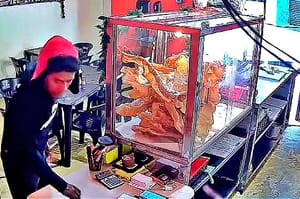 ¡ROBAN CELULAR EN LA TAQUERÍA DE CARNITAS!