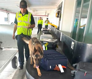 ¡PERSONAL DE ADUANAS INSPECCIONÓ MALETAS EN EL AEROPUERTO!