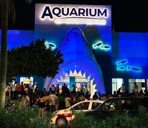 ¡SE PIERDE NIÑO AUTISTA EN EL AQUARIUM!