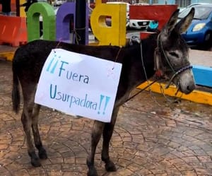 ¡REBELIÓN EN LERDO! - CON TODO Y BURRO.. * Pobladores quieren fuera a la síndica * Para que entre Fabián Cárdenas