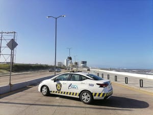 ¡RACHAS DE 85 KM/H! - VA UN ÁRBOL *CIERRAN EL BULEVAR